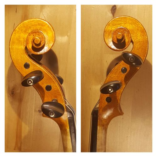 riccio - scroll