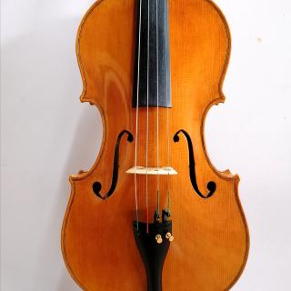 Viola 405