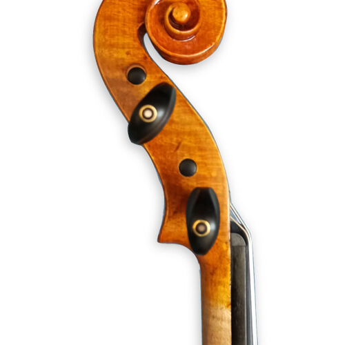 scroll sx