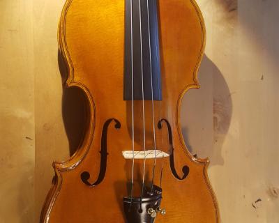Violino strano