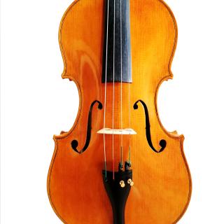 Viola 405