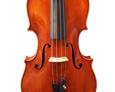 Viola O.CECI 41,5cm - 2021